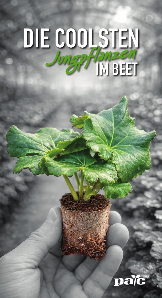 Die coolsten Jungpflanzen im Beet flyer visual