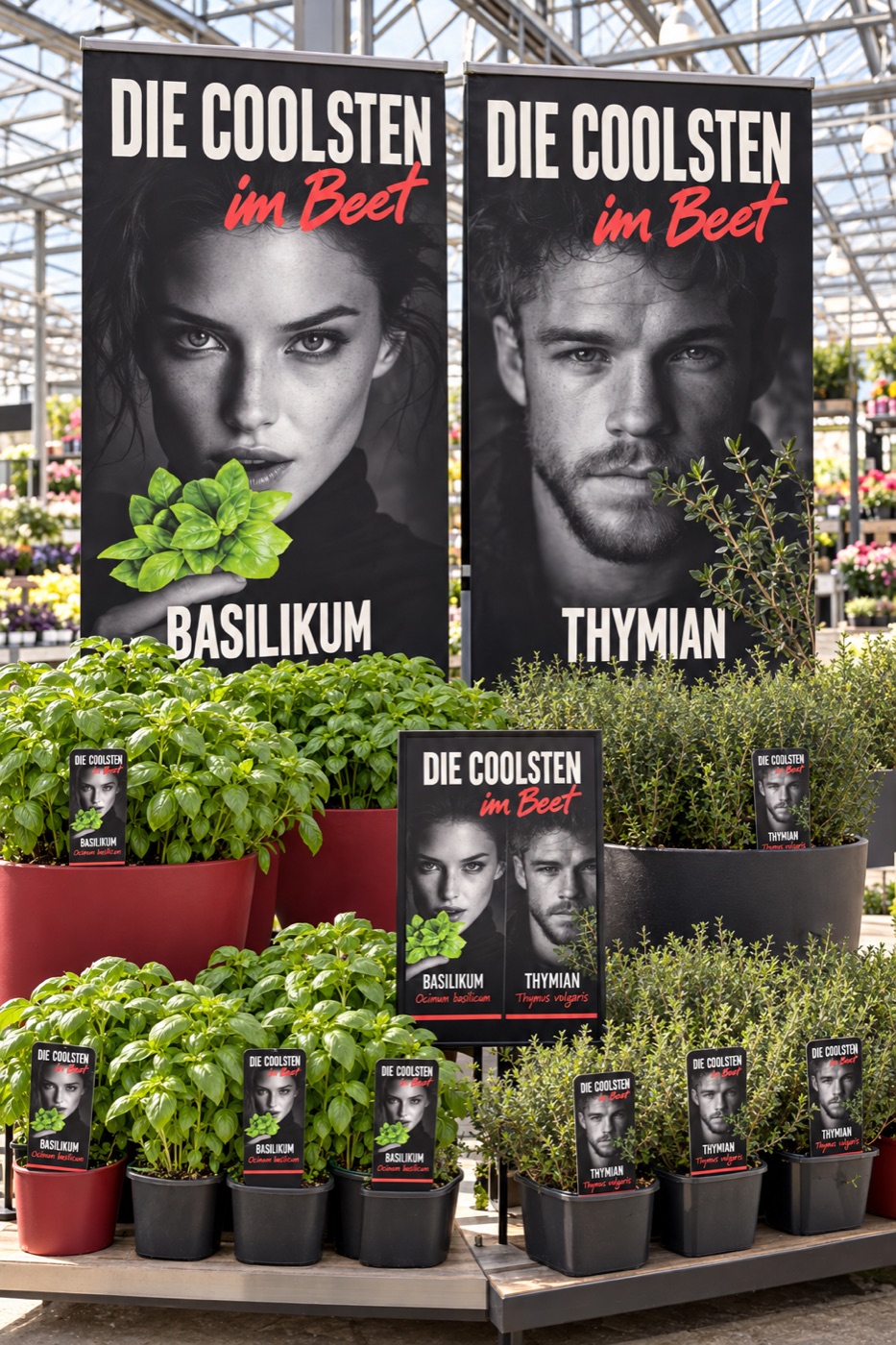 POS display with basil and thyme