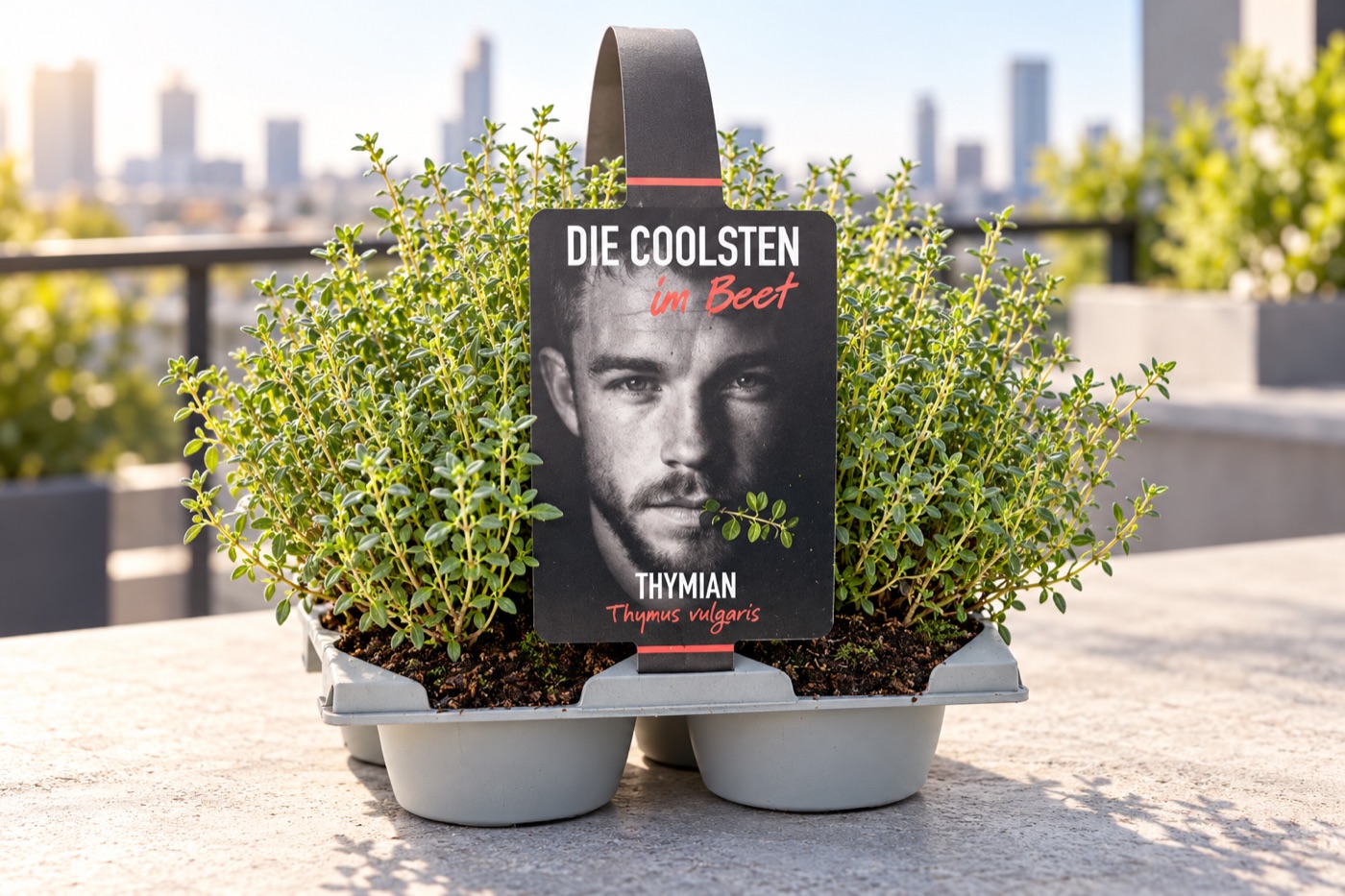 Sales unit with thyme and a large campaign label
